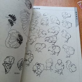 鸡的千姿百态——绘画参考资料丛书
