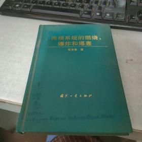 两相系统的燃烧、爆炸和爆轰（画线，脏）