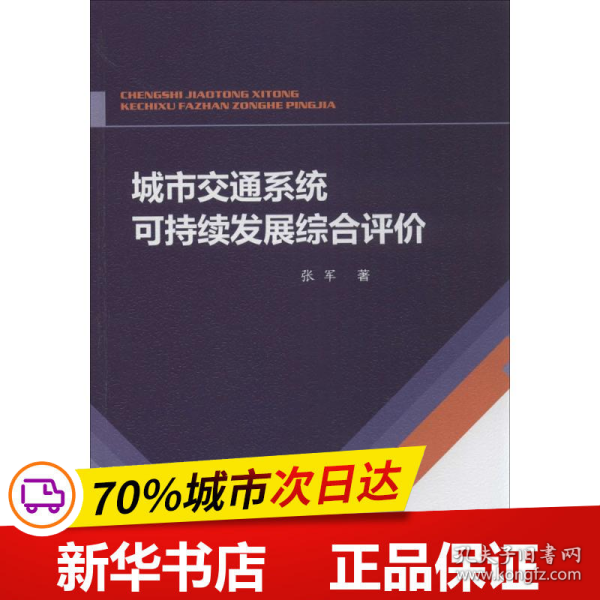 城市交通系统可持续发展综合评价