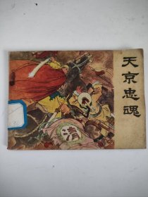 连环画：天京忠魂（馆藏）