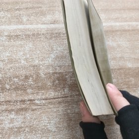 汉语成语词典续篇