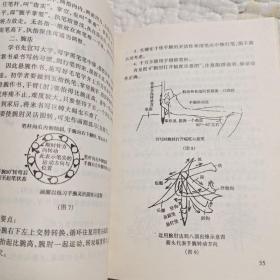 书法考级指导