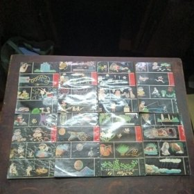 十万个为什么（续）