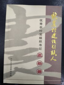 新农村建设引路人（正定县优秀农村党组织书记风采录）