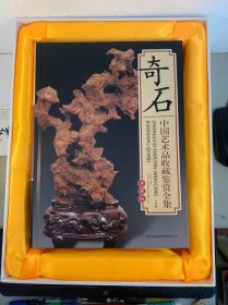 奇石 中国艺术品收藏鉴赏全集：典藏版