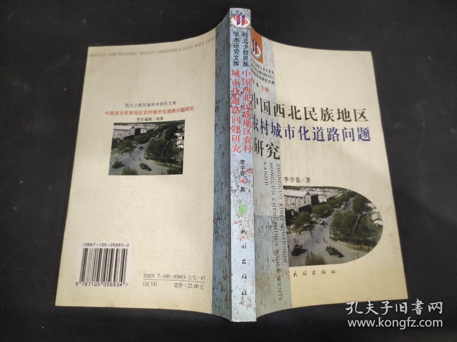 中国西北民族地区农村城市化道路问题研究