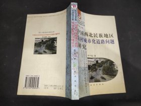 中国西北民族地区农村城市化道路问题研究