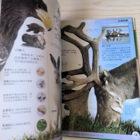 DK大百科:自然卷