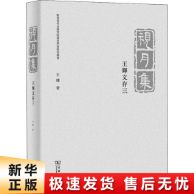 视月集——王辉文存三