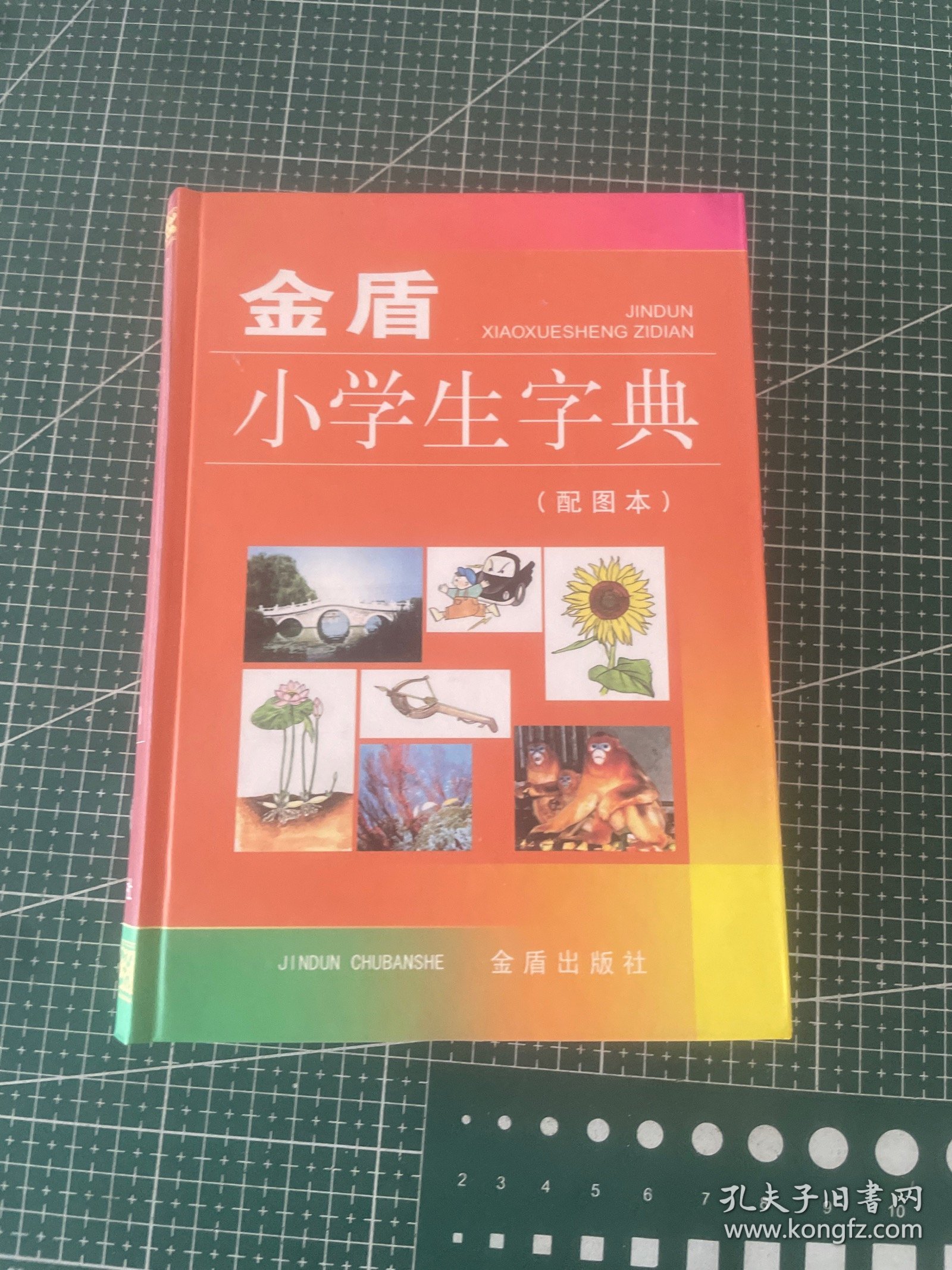 金盾小学生字典（配图本）