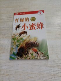 忙碌的小蜜蜂