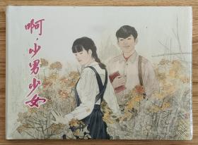 啊，少男少女（大师胡博综～作品）上美32开精装本