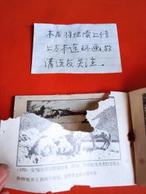 野狼谷