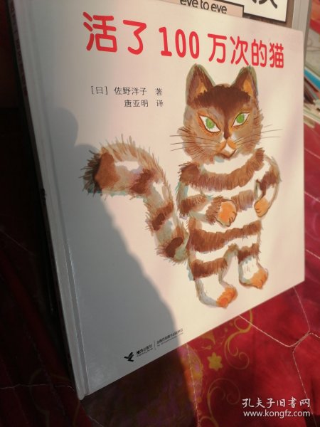 活了100万次的猫