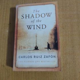 The Shadow of the Wind