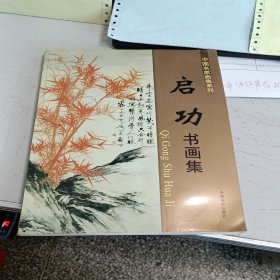 中国名家画集系列：启功书画集