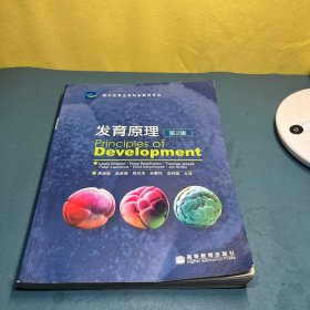 高等学校计算机基础教育改革与实践系列教材：数据库技术及应用（SQL Server）