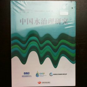 中国水治理研究