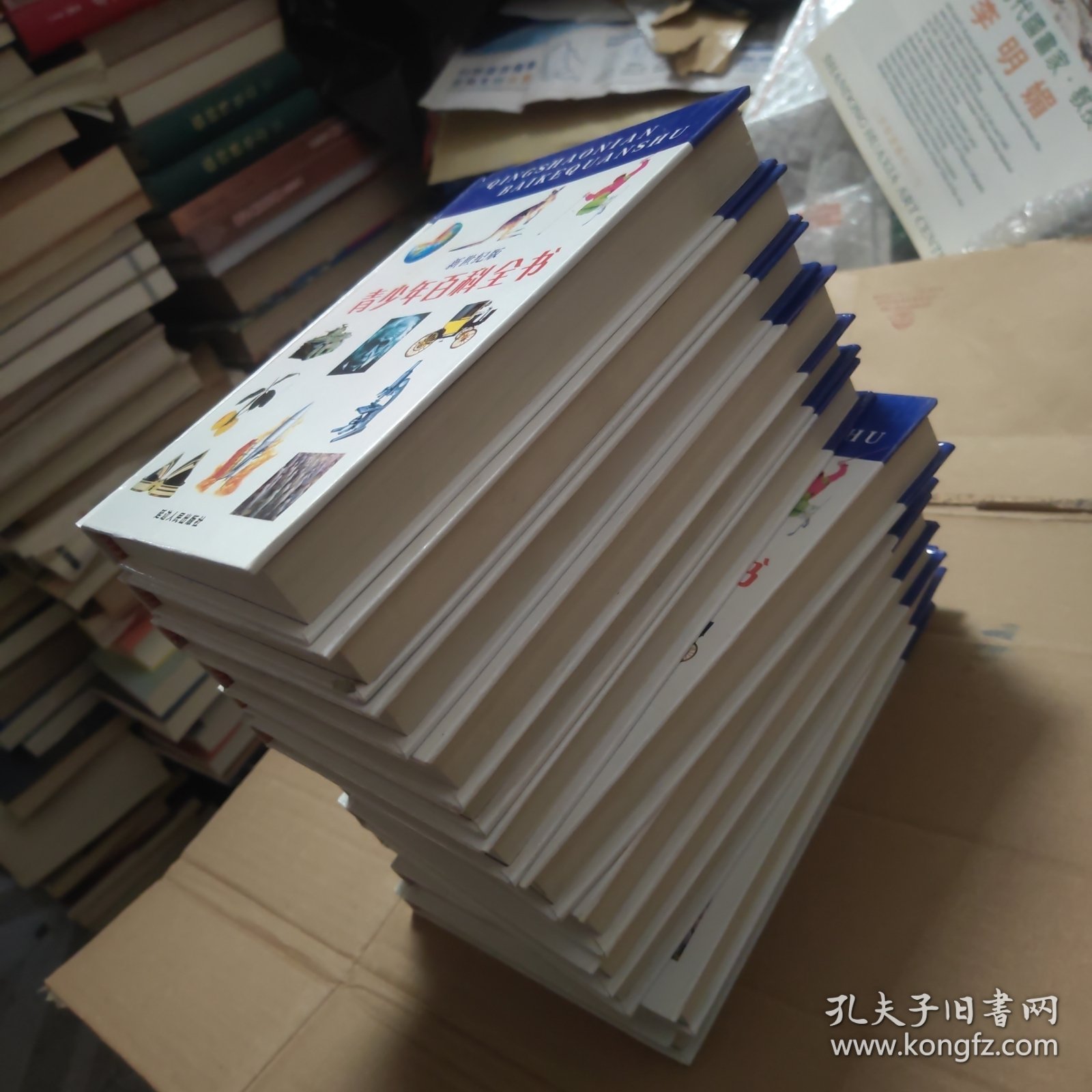 青少年百科全书（全12册）