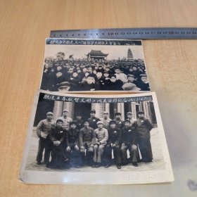 1951年老照片两张合售