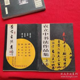 中国当代书法家作品丛书 ：【10本合售】【丁明镜书法，卢汝福书仙都历代名人题咏诗，苏扬子平书法作品集，杨少华书法作品集，黄君书法作品集，葛鸿桢书法作品集，袁立中书法作品集，刘崇文书法作品集，冷望高书法作品集，丁国光书法作品集】