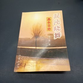 混沌晓舞：县长日志