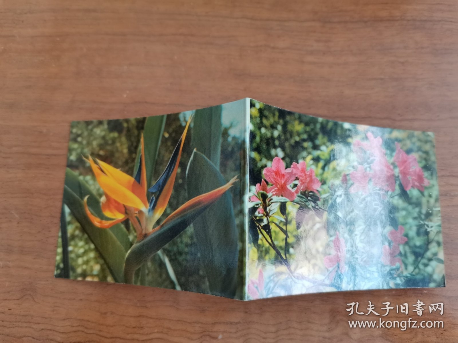 1974年花卉折叠年历卡年历片 人民中国杂志社