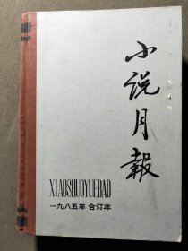 小说月报。1985年合订本，