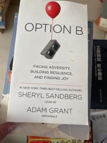 Option B: Facing Adversity, Building Resilience, and Finding Joy