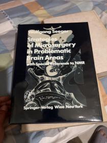 Wolfgang Seeger Strategies of Microsurgery in Problematic Brain Areas  原版书