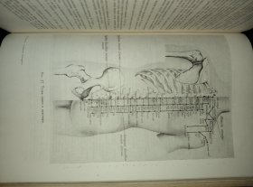 【中医】苏联国家医学文献出版社1961年一版一印长方形16开布面浅压花硬精装全190页，印含多位中医老祖相及多幅中医诊疗及穴位示意图，品好包邮挂刷
