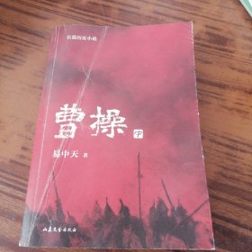曹操（2023新版。易中天长篇历史小说）