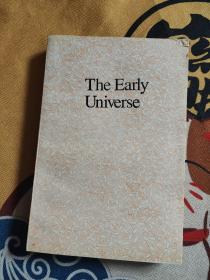 The Early Universe 早期宇宙