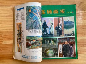 连环画报1980年第1-12期  合订（全12册合售）