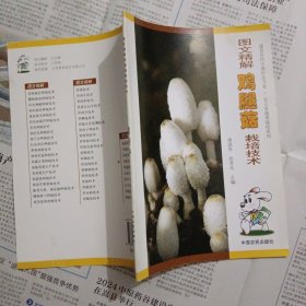 图文精解鸡腿菇栽培技术——建设农村小康社会书系·无公害养殖系列