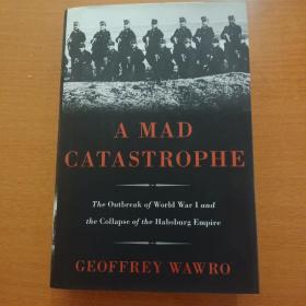A Mad Catastrophe：The Outbreak of World War I and the Collapse of the Habsburg Empire