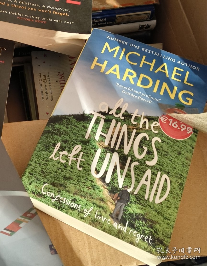 ALL THE THINGS LEFT UNSAID 英文原版 2022 小16开 近全新