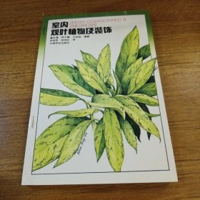 室内观叶植物及装饰