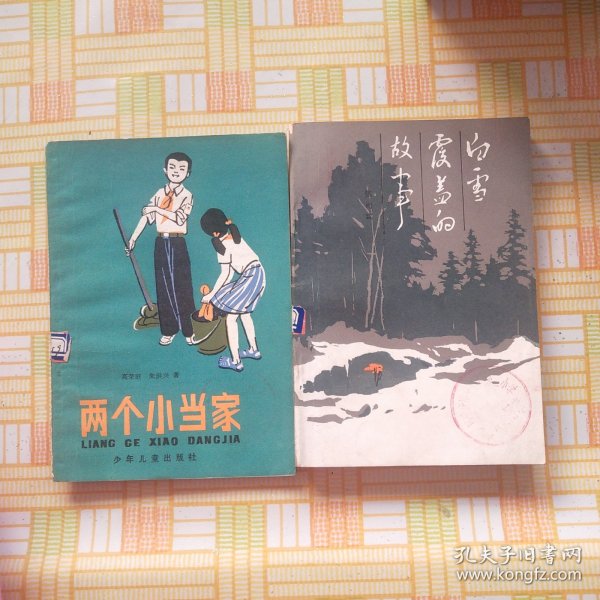 两个小当家，白雪覆盖的故事2本6元