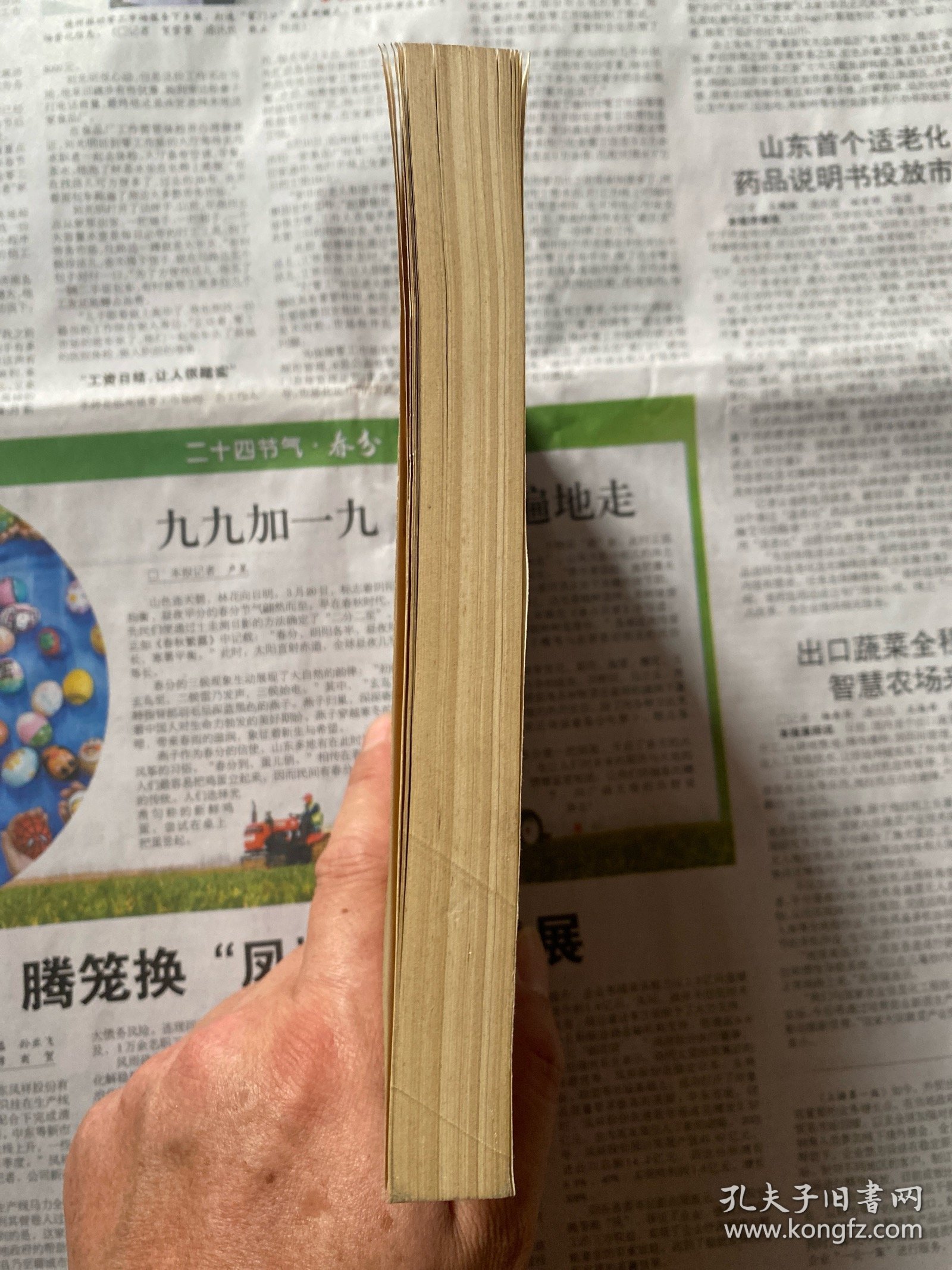 《金瓶梅》作者之谜