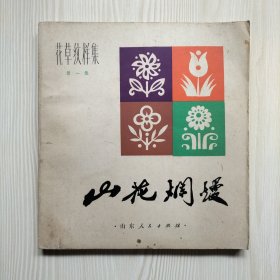 山花烂漫 第一集 花草纹样集