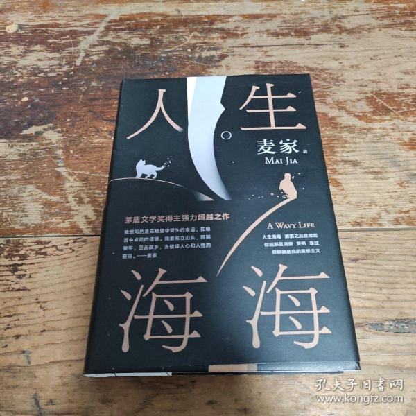 麦家：人生海海（茅盾文学奖得主麦家2019年强力之作）