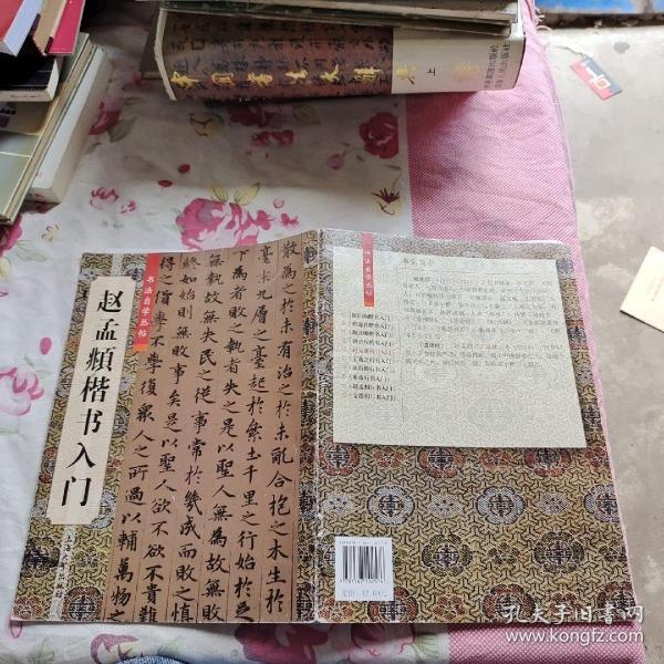 赵孟頫楷书入门