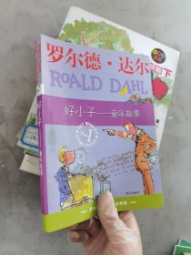 好小子-童年故事：罗尔德·达尔作品典藏