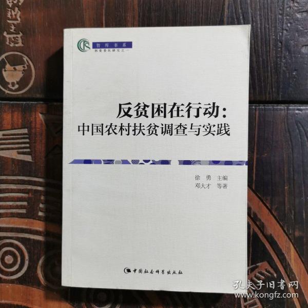 反贫困在行动：中国农村扶贫调查与实践（智库书系）