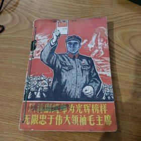 以林副统帅为光辉榜样无限忠于伟大领袖毛主席（下册）