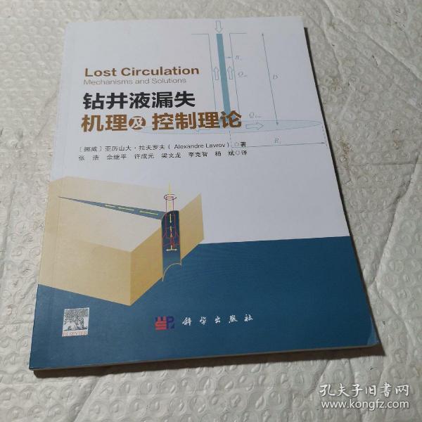 钻井液漏失机理及控制理论