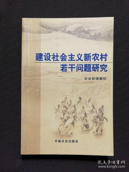 建设社会主义新农村若干问题研究