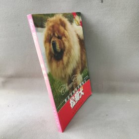 松狮犬孙鸥