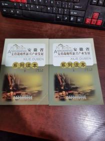 安徽省支持战略性新兴产业发展系列读本 上下册